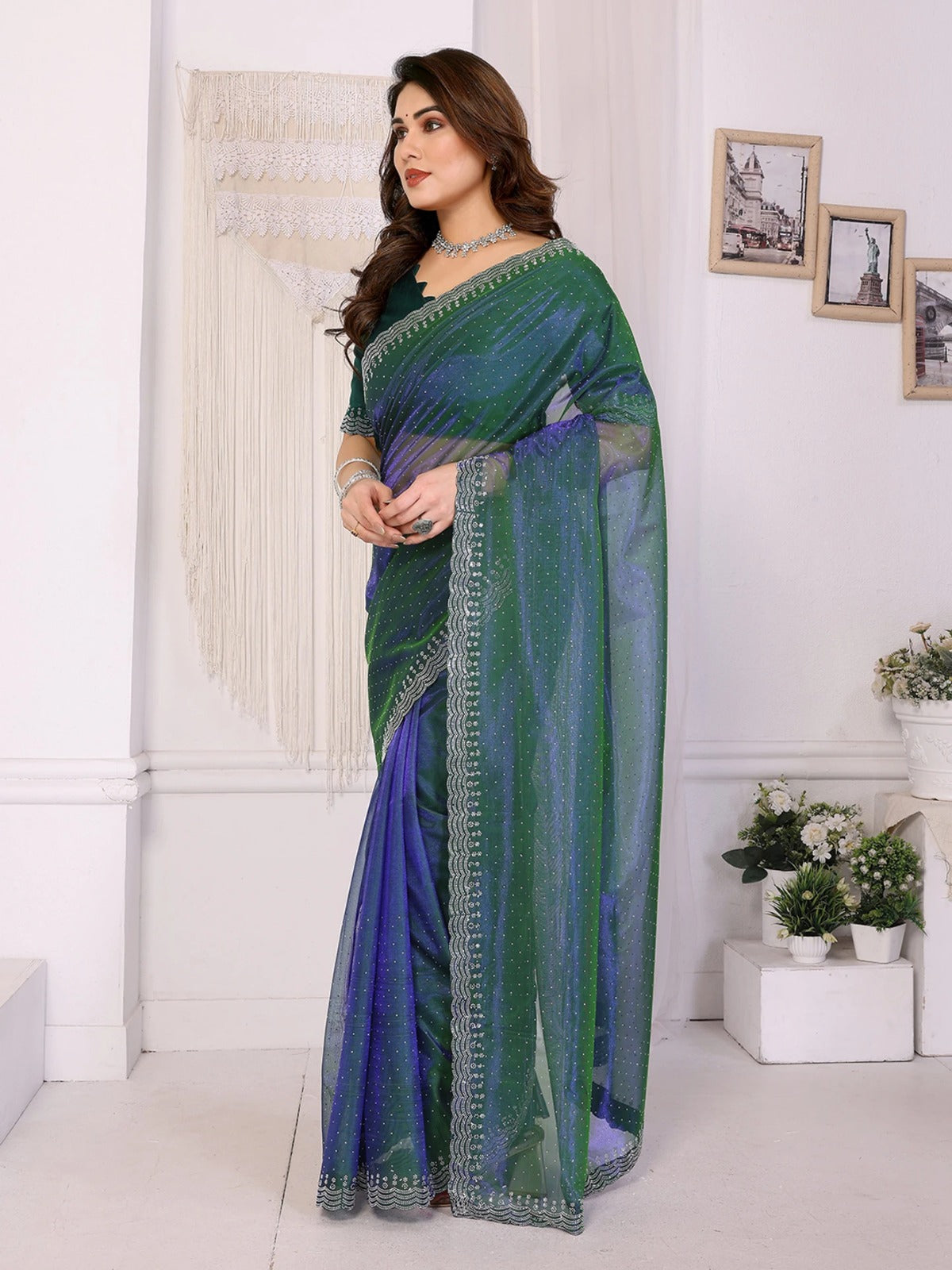 Green Saree with Silver Embroidery Border