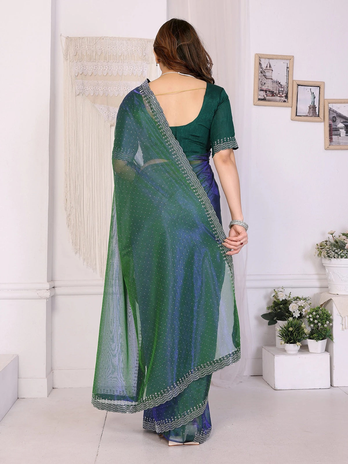 Green Saree with Silver Embroidery Border